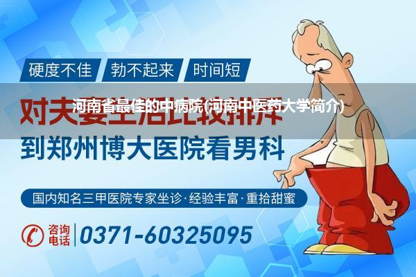 河南省最佳的中病院(河南中医药大学简介)