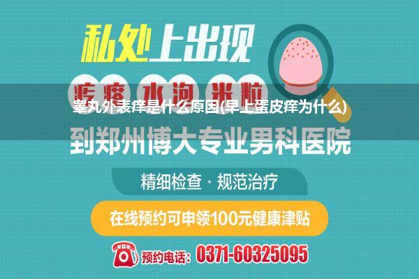 睾丸外表痒是什么原因(早上蛋皮痒为什么)