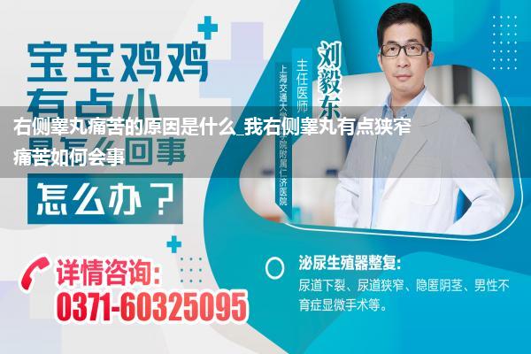 右侧睾丸痛苦的原因是什么_我右侧睾丸有点狭窄痛苦如何会事