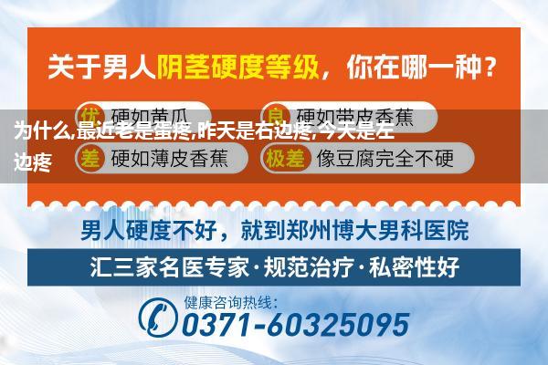为什么,最近老是蛋疼,昨天是右边疼,今天是左边疼
