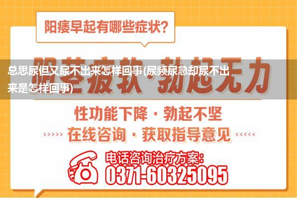 总思尿但又尿不出来怎样回事(尿频尿急却尿不出来是怎样回事)