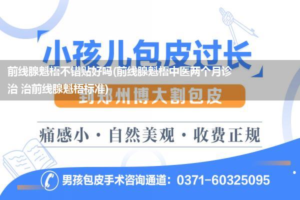 前线腺魁梧不错贴好吗(前线腺魁梧中医两个月诊治 治前线腺魁梧标准)