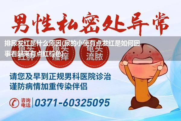 排尿发红是什么原因(尿的小便有点发红是如何回事看起来有点红棕色)