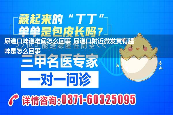 尿道口味道难闻怎么回事_尿道口附近微发黄有腥味是怎么回事
